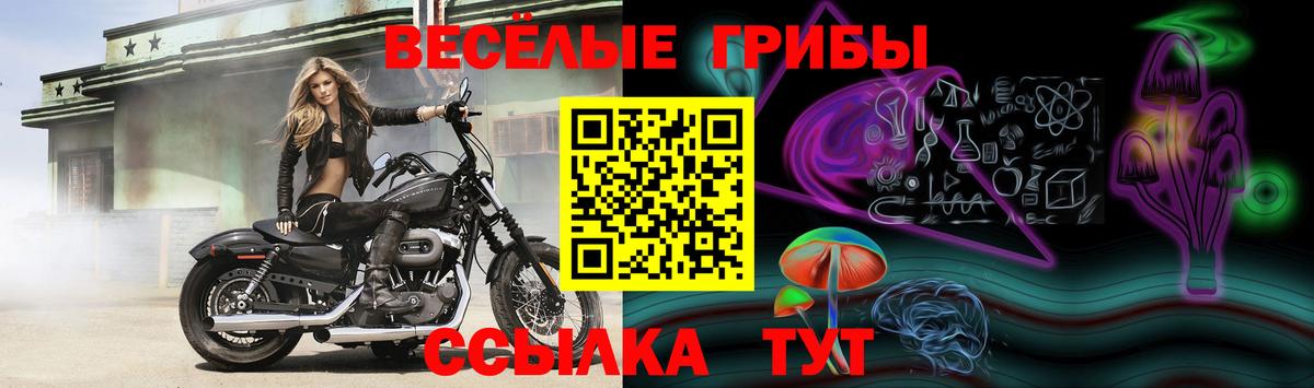 Елабуга  Псилоцибиновые грибы ЛСД  Вход с VPN  Псилоцибиновые грибы Psilocybine cubensis 